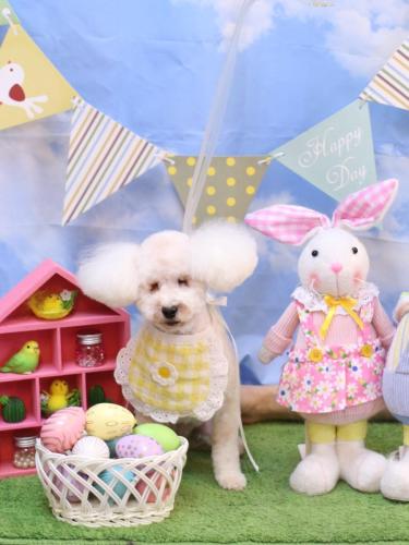 20240327あんちゃん